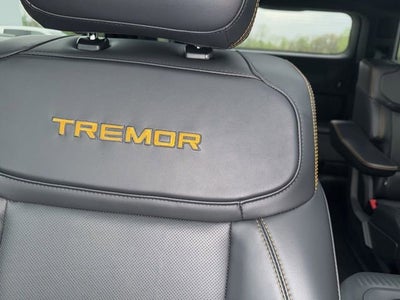 2025 Ford Expedition Tremor